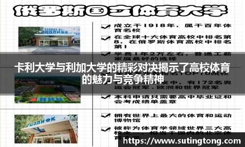 im电竞平台官网