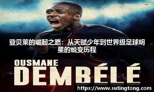 im电竞官网入口