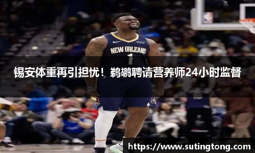 im电竞官网