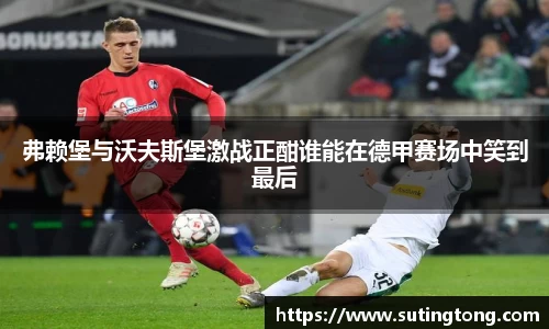 im电竞官网