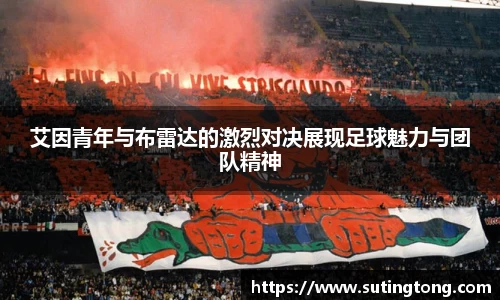im电竞官网
