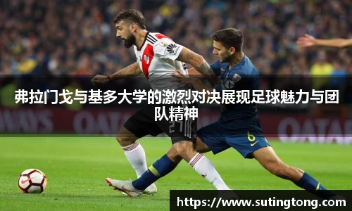 im电竞平台官网