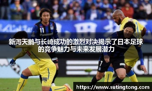 im电竞官网