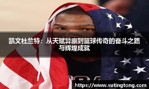 im电竞平台官网