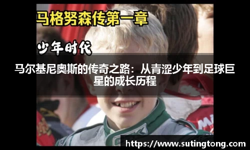 im电竞官网入口