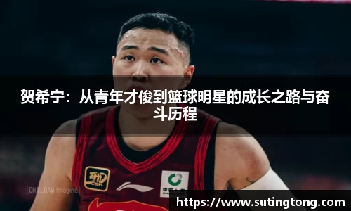 贺希宁：从青年才俊到篮球明星的成长之路与奋斗历程