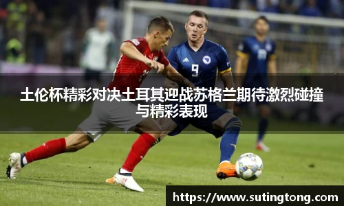 im电竞平台官网