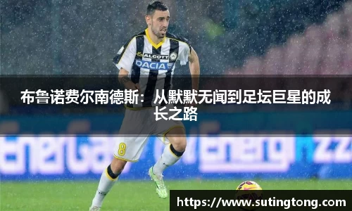 im电竞官网